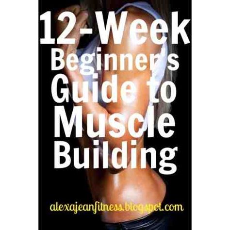 Fitness & Health: 12-Week Beginners Guide to Muscle Building // Phase 1 Routine Workout, Muscle Building Workouts, Workout Program, Exercise Routine, Muscle Building, Workout Routines, Motivation Fitness, 12 Weeks, I Work Out