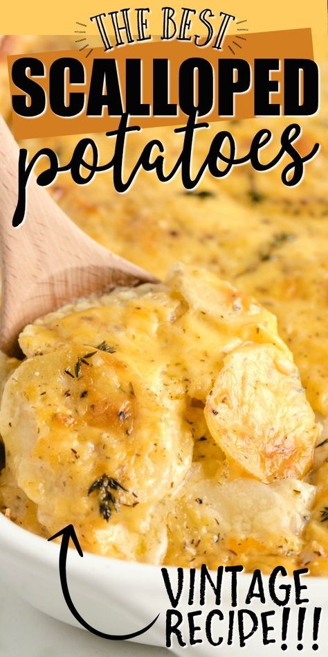 Scalloped Potatoes With Golden Potatoes, Recipe For Scalloped Potatoes Simple, Best Scalloped Potatoes Recipe Crock Pot, Best Potatoes For Scalloped Potatoes, Best Homemade Scalloped Potatoes, Recipes For Scalloped Potatoes, Homemade Scallop Potatoes, The Best Scalloped Potatoes Ever, Potatoe Scallop