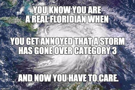 Florida Humor, Florida Funny, Face Reality, Florida Weather, Florida Man, Florida Life, Florida Girl, Florida Living, State Of Florida