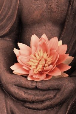 Lotus and Buddha....Peach & Brown Photo Japon, Lotus Symbol, Little Buddha, Buddha Zen, Zen Meditation, Lotus Blossom, Pink Lotus, Palau, Water Lily