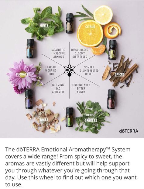 Essential oils for mood Essential Oil Photography, Essential Oils Aesthetic, Oils Aesthetic, Oil Photography, Salt Scrubs, Bath Stuff, Essential Oil Education, Healing Essential Oils, Essential Oil Remedy