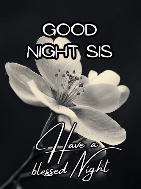 Good Night Sis, Good Night Sunday, Goodnight Blessings, Night Sister, Good Night Sister, Good Night Blessings Quotes, Sweet Dreams Images, Good Night Family, Family Blessings