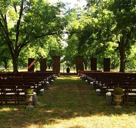 Ceremony site in Family Pecan Orchard Pecan Orchard Wedding, Orchard Wedding Ceremony, Pecan Orchard, Tree Orchard, Pecan Tree, Orchard Wedding, Wedding Barn, Southern Wedding, Best Day Ever