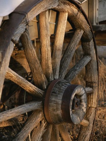 Wagon Wheel on Covered Wagon at Bar 10 Ranch Near Grand Canyon Photographic Print by Todd Gipstein at AllPosters.com Old Wagons, Wooden Wagon, Barn Art, Covered Wagon, Country Scenes, Wagon Wheel, Old Barns, Old Farm, American West