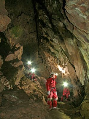 The Grand Gallery British Columbia Road Trip, Canmore Alberta, Canada Vacation, Cave Tours, Get In Loser, Canadian Travel, Ski Vacation, Ice Climbing, Caving