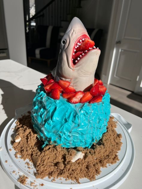 angle food cake blue icing white chocolate covered bugles candied strawberries shark head Shark Week Cake, Candied Strawberries, White Chocolate Covered, Shark Head, Blue Icing, Angel Food Cake, Shark Week, Food Cake, Angel Food