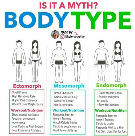 Comment Your Body Type Below 👇. Endomorph Workout, Body Type Workout, Body Type Diet, Metabolic Type, Endomorph Body Type, Metabolic Workouts, Ectomorph Workout, Endomorph Diet, Mediterranean Diet Plan