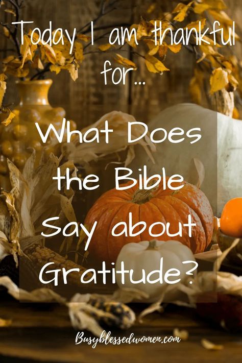 The Bible gives us many great examples of how to show our thanks and gratitude to God! #gratitude #thanksgiving #spiritualgrowth #christianencouragement #busyblessedwomen Thanksgiving Sermon, Kingdom Bloggers, Thanksgiving Devotions, Scripture Illustration, Gratitude To God, Thanksgiving Scripture, Us Thanksgiving, Sermon Illustrations, Christian Women's Ministry