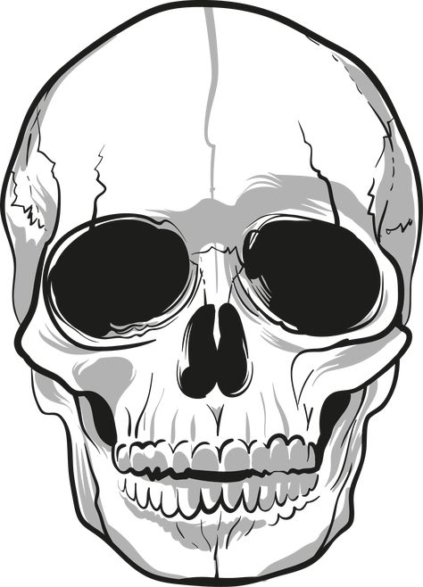 Skeleton Head Drawing, Bone Drawing, Skull Template, Simple Skull, Skeleton Face, Skeleton Drawings, Mouth Drawing, Skeleton Head, Skulls Drawing