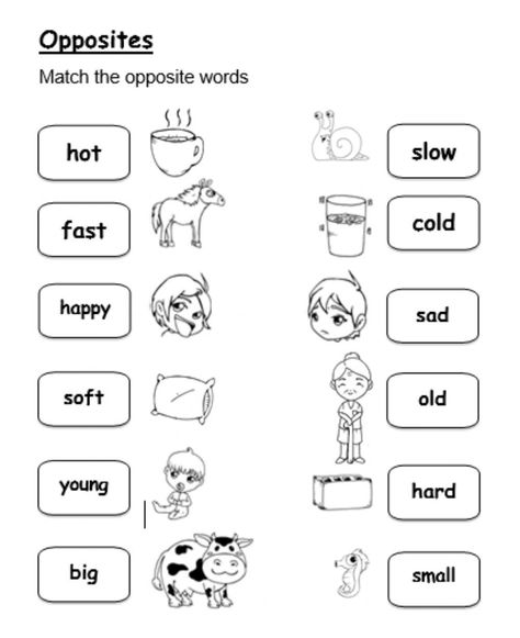 Opposites Worksheet For Grade 2, Opposites Worksheet Grade 1, A And An Worksheets Kids, Opposite Words For Kids, Opposites For Kids, Opposites Preschool, Opposites Worksheet, Cvc Word Activities, Adjective Worksheet