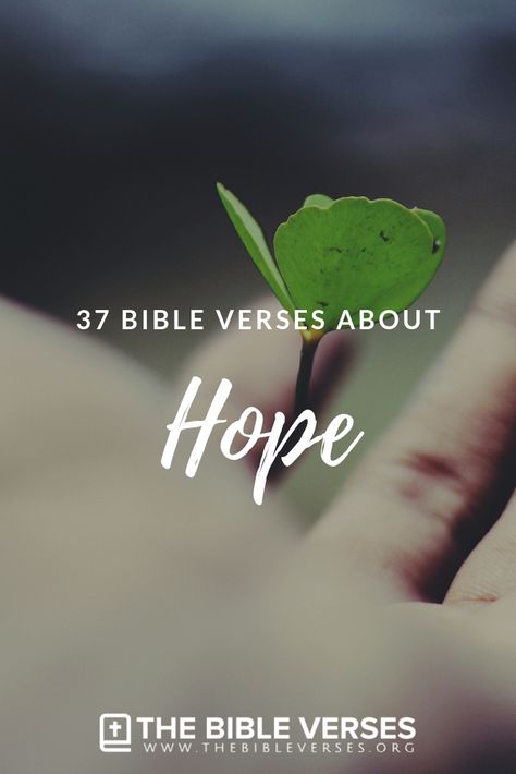 Verses About Hope Scriptures, Hope Scripture Quotes, Scripture About Hope, Hope Bible Quotes, Bible Verse For Hope, Hope Quotes Bible, Bible Verses For Hope, Bible Verses About Hope, Verses About Hope