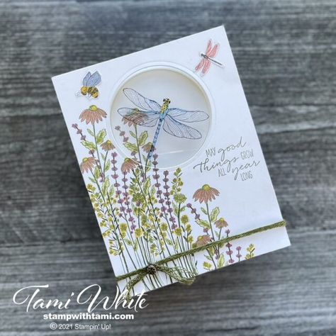 Butterfly Cards Stampin Up Stamps, Dragonfly Cards, Stampin Up Sympathy Cards Simple, Dragonfly Handmade Cards, Dragonfly Garden Stampin Up Cards, Stampin Up Dragonfly Garden, Stampin Up Dragonfly Dreams Cards, Dragonfly Garden Cards, Stampin Up Sympathy Cards