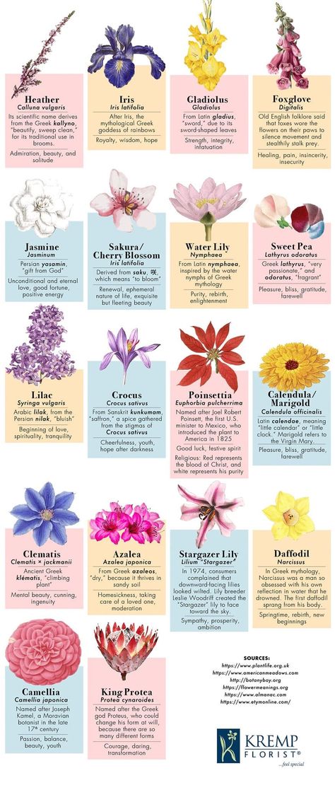 Flower Meanings Chart, Iris Flower Tattoo, Flower Chart, Flower Tattoo Meanings, Gladiolus Flower, Flower Guide, Flower Meanings, Flower Names, Flower Therapy