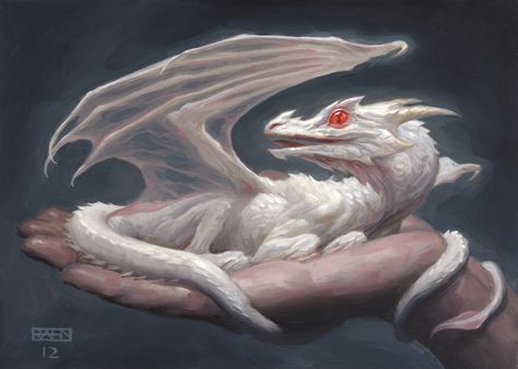 Chris Rahn, Baby Dragon Art, Dnd Dragons, Dragon Images, Dragon Rider, White Dragon, Fire Dragon, Dragon Artwork, Cute Dragons