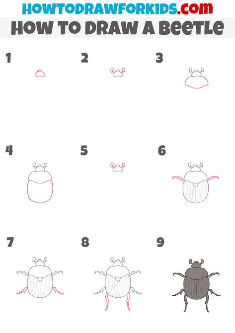 how to draw a beetle step by step How To Draw Insects Step By Step, Draw Bugs, How To Draw Insects, Drawing On Hand, Beetle Drawing, Snake Drawing, Sketching Tips, Draw Animals, Easy Doodles