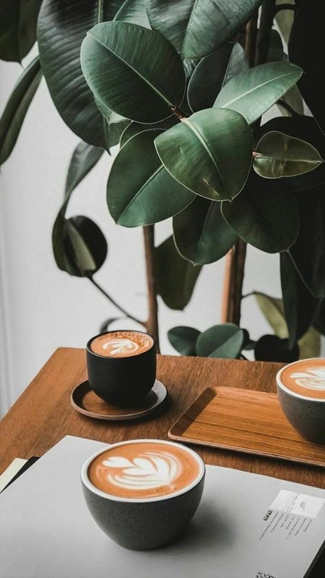 More Coffee! on Tumblr Environmental Photography, Espresso Cups Ceramic, Coffee Vs Tea, Coffee Shop Photography, Outdoor Exploration, Coffee Shot, Photography Wildlife, Dessert Photography, Coffee Shop Aesthetic