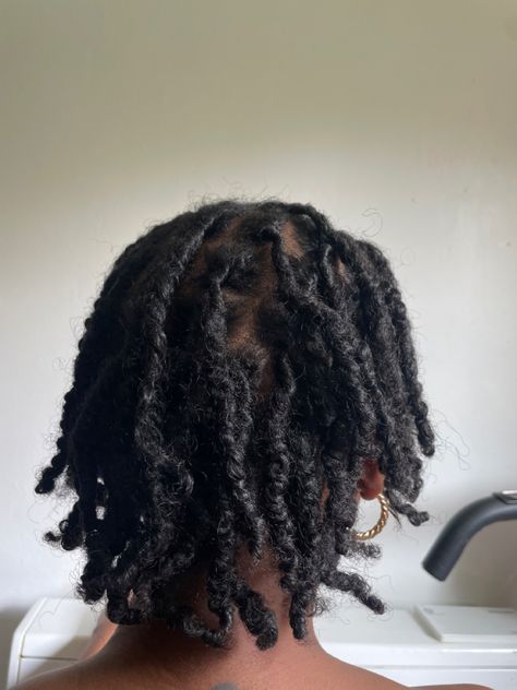 2 months starter locs 2 Month Locs, 2 Month Starter Locs, Loc Hairstyles, Beautiful Locs, Starter Locs, Loc Journey, Locs Hairstyles, 2 Months, Locs