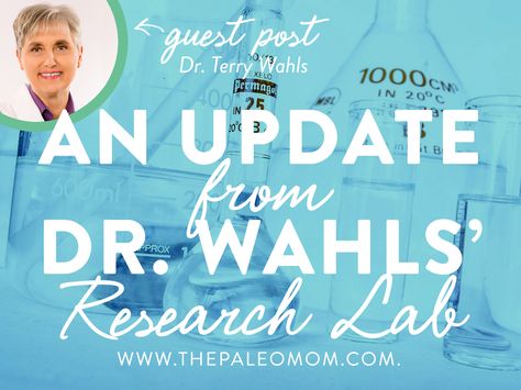 Dr Terry Wahls Diet, Wahls Protocol Recipes, Terry Wahls Diet, Wahls Diet, The Paleo Mom, Wahls Protocol, Autoimmune Protocol Diet, Ms Diet, Strawberry Nutrition Facts