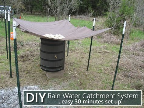 DIY Rain Water Catchment System  - a simple way to collect rainwater... #diy #offgrid #homestead #homesteading Water Catchment System, Rain Barrel System, Barrels Diy, Rain Catcher, Water Collection System, Water Catchment, Water From Air, Rain Harvesting, Rain Collection