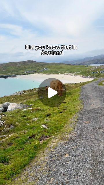 Chris Lawlor on Instagram: "// 🏝️ Hushinish Beach, Isle of Harris #scotland #scotlandexplore #scotlandtravel #hiddenscotland #visitscotland #scotlandshots #scotlandtrip" Harris Scotland, Islay Scotland, Traveling Woman, Vintage Scotland, North Carolina Vacations, Scottish Countryside, Scotland Trip, Isle Of Harris, Avatar 2