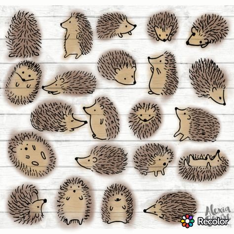 Wildlife Doodles, Hedgehog Drawing Simple, Doodle Hedgehog, Hedgehogs Drawing, Drawing Hedgehog, Hedge Hogs, Music Notes Drawing, Cartoon Hedgehog, Hedgehog Drawing