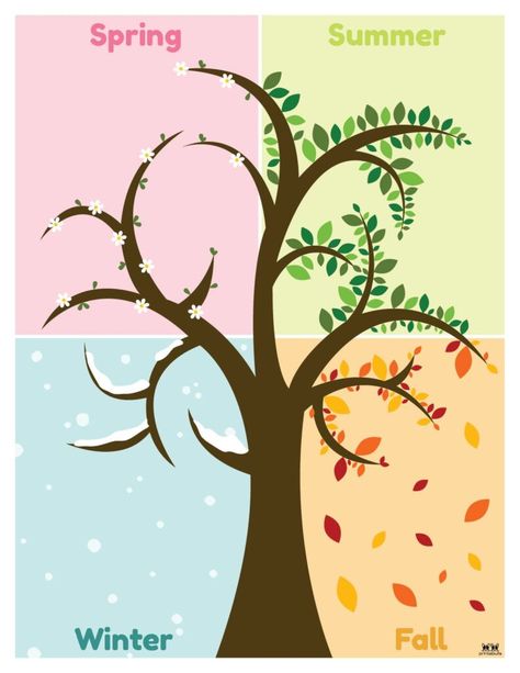 Choose from 51 unique four seasons worksheets and printables to both learn the seasons and display them in your classroom. 100% FREE! Seasons Classroom Display, Trees In Different Seasons, Seasons Chart, Classroom Tree, Seasons Worksheets, India Poster, Seasons Activities, 4 Images, Simple Cartoon