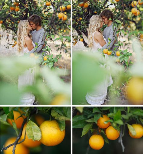 Orange Grove Engagement Photos | Green Wedding Shoes Wedding Blog | Wedding Trends for Stylish + Creative Brides Orange Fairy, Digital Photography Backdrops, Photoshoot Engagement, Orange Grove, California Engagement, Engagement Inspiration, Shoes Wedding, Green Wedding Shoes, Ideal Wedding