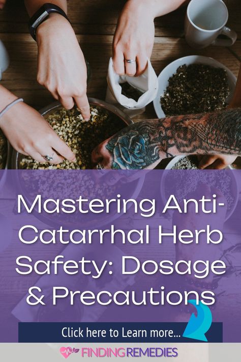 Mastering Anti-Catarrhal Herb Safety: Dosage & Precautions Catarrh Remedies Natural, Complementary Medicine, Preventive Medicine, Respiratory Health, Upset Stomach, Lower Blood Sugar, Homemade Remedies, Safety First, Optimal Health