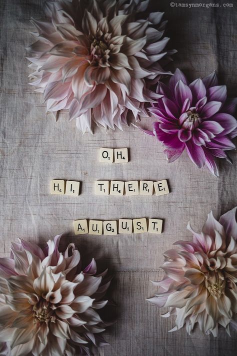 Floral Tumblr, Hello August Images, August Quotes, August Wallpaper, Hello August, August Month, Scrabble Letters, Days And Months, Thankful And Blessed