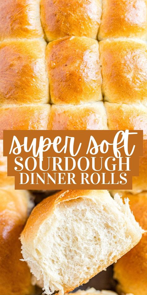 These ultra soft sourdough rolls are a dinner roll recipe you won't regret making! They're golden brown on the top, soft and stretchy on the inside and a show-stopping recipe for any meal. Sourdough Discard Rye Bread, Rye Buns Recipe, Rye Sourdough Discard Recipes, Soft Sourdough Rolls, Rye Rolls Recipe, Rye Biscuits, Rye Flour Recipes, Discard Dinner Rolls, Rye Sourdough Bread Recipe