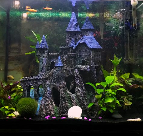 #aquascape #aquarium #castle #aquascaping #fish Fish Tank Castle Theme, Fantasy Fish Tank, Fish Tank Castle, Tall Tank Aquascape, Community Fish Tank, Shallow Aquarium Aquascape, Harry Potter Castle, Fish Garden, Small Fish Tanks