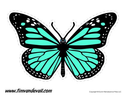 Turquoise Butterfly Butterflies Template, Green Butterflies, Turquoise Butterfly, Butterfly Template, Butterfly Printable, Shape Templates, Valentine Activities, Butterfly Drawing, Green Butterfly