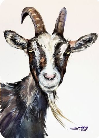 Goat Portrait, Goat Paintings, Farm Animal Paintings, White Goat, Painting Impressionism, Goat Art, Farm Paintings, Afrikaanse Kunst, A Goat