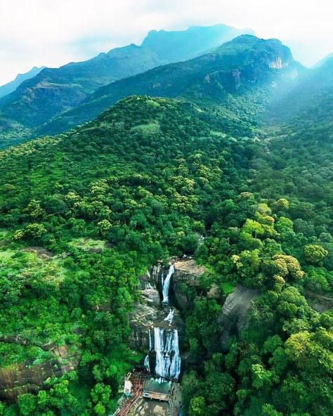 Courtallam waterfalls #Tenkasi #Tamilnadu #tamil #tamilnadutourism #incredibleindia #dekhoapnadesh Tenkasi Photography, Tamilnadu Photography, Salem Tamilnadu, College Image, Village Photography, Travel Tops, Visual Culture, Nature Gif, Cute Couple Images