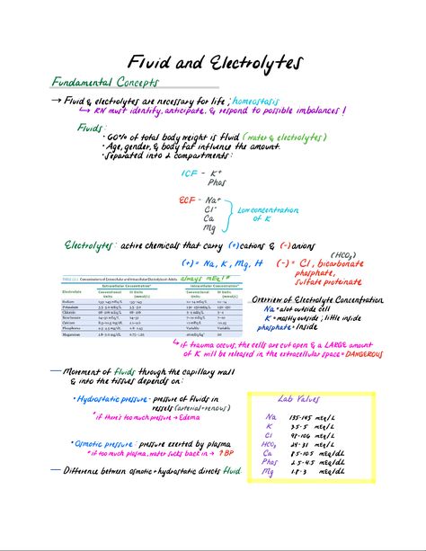 Electrolytes Nursing, Nursing School Studying Cheat Sheets, Memory Notebook, Fluid And Electrolytes, Ear Health, Nursing School Studying, Med Surg, Nursing School Tips, Nursing School Notes