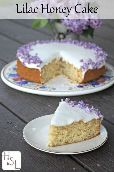 Make the most of beautiful seasonal flowers and delicious honey with this simple to bake and utterly delightful lilac honey cake. Lekach Recipe, French Almond Cake, Lilac Honey, Cake With Lavender, Rosemary Cake, Honey Rice, Vegan Honey, French Almond, Edible Flowers Recipes