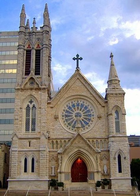 Most Beautiful Churches in America | List of US Temples and Cathedrals Sacred Heart Cathedral, Mary Austin, Houses Of The Holy, Church Pictures, Beautiful Churches, Sacred Architecture, Saint Marys, Country Church, Cathedral Church