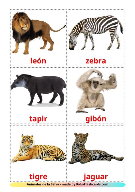 Animales de la Selva - 21 fichas de español para imprimir gratis Animals Flashcards For Kids, Printable Animal Pictures, Spanish Animals, Spanish Flashcards, Easter Templates Printables, Flashcards For Toddlers, Montessori Lessons, Animal Flashcards, Real Images