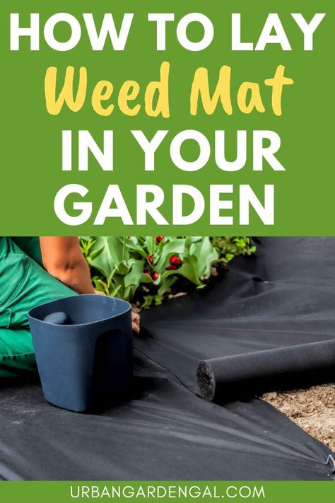 Laying weed matting in the garden Stop Weeds From Growing, Above Ground Garden, Raised Vegetable Gardens, Garden Organization, Weed Barrier, Garden Netting, Garden Vegetable, Garden Weeds, Gardening Hacks