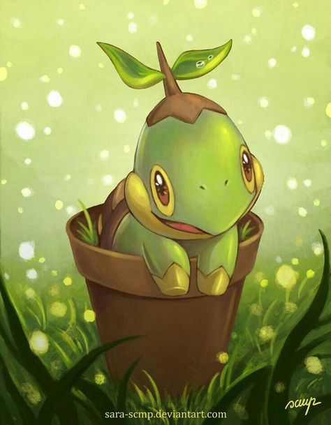 Turtwig Wallpaper, Sinnoh Starters, Turtle Plant, Cute Pokemon Art, Plant In A Pot, Pokemon Platinum, Pokemon Starters, Grass Type, Pokemon Special