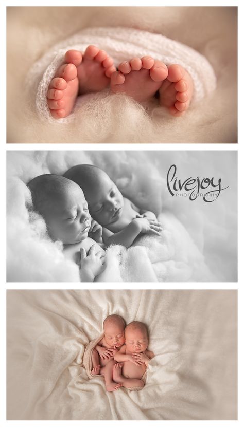 Twin boys Newborn Photography | Oregon | LiveJoy Photography Boys Newborn Photography, Twin Poses, Twin Babies Pictures, Twin Newborn Photography, Babies Photoshoot, Newborn Twin Photos, Twins Pictures, Twin Baby Photography, Twin Baby Photos