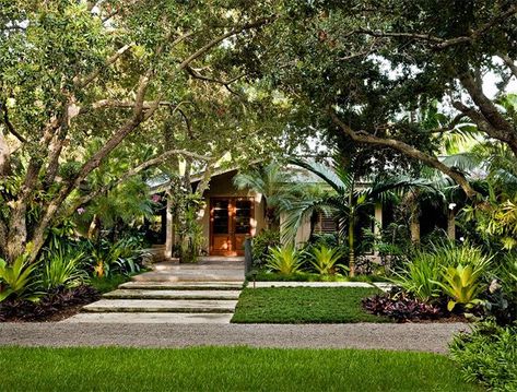 Tropical Landscape Designs that Brings Coolness to your Place | Home Design Lover Tropical Landscape Design, Tropical Garden Design, Jungle Gardens, Tropical Backyard, Dream Landscape, Miami Gardens, Courtyard Design, Modern Landscape Design, Landscape Design Plans