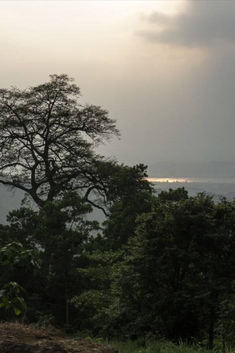 Image of the Ba Vi National Park in Hanoi, Vietnam Ba Vi National Park, Vietnam Forest, Ao Phang Nga National Park, Vietnam Wildlife, Vietnam Off The Beaten Track, Marble Mountain Vietnam, Visit Vietnam, Mountain Peak, Hanoi