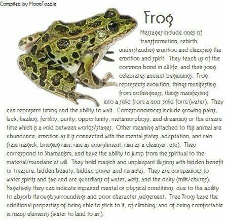 Wow.. and I just recently had a frog come to me as a spirit animal. Frog Spirit Animal, Frog Symbolism Meaning, Frog Tattoo Meaning, Frog Spiritual Meaning, Frog Meaning Spiritual, Frog Spirit Animal Meaning, Frog Symbolism, Frog Medicine, Frog Totem