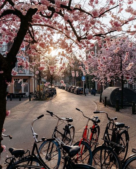 Utrecht Netherlands, Spring City, Dream Travel Destinations, Spring Aesthetic, Spring Vibes, City Aesthetic, Oh The Places Youll Go, Utrecht, Dream Destinations