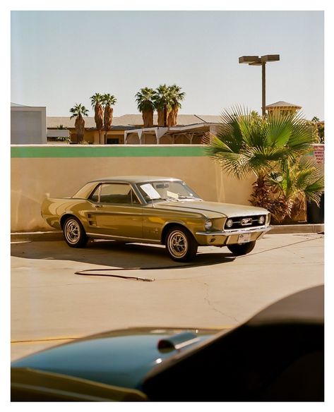 120 & 35mm | Film Photography on Portra 160 Portra 160 35mm, 120 Mm Film Photography, Portra Film, Leica Photography, Portra 160, 35mm Film Photography, Photography 35mm, Film Stock, Dream Vehicles