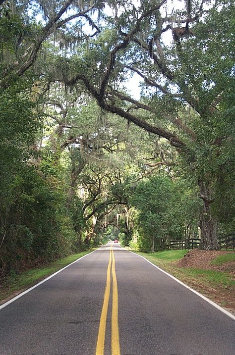 St. Augustine Rd...Tallahassee Florida #Tally Tallahassee Florida Aesthetic, Hiking In Florida, Georgia Summer, Charleston Trip, Painting 101, Charleston Travel, Florida Life, Places In Florida, New Year Pictures