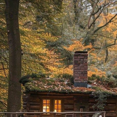 Off Grid Cabins on Instagram: "Looks wonderful! 😍" Off The Grid Aesthetic, Off Grid Cabin, Off Grid, Off The Grid, Cabin, Wonder, Architecture, On Instagram, Instagram