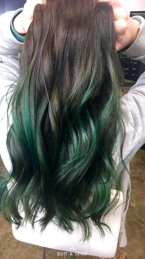 Emerald green Balayage Green Hair Ombre, Partial Balayage, Mint Green Hair, Dark Green Hair, Balayage Hairstyles, Teal Hair, Ombre Hair Color, Dye My Hair, Cool Hair Color