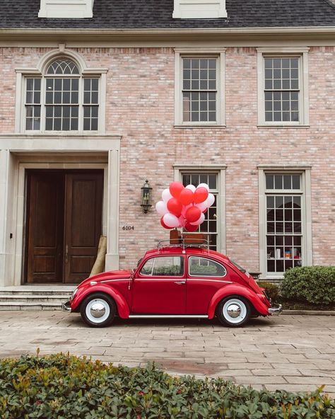 Stevie the Photo Bus on Instagram: “Attn Photographers: Our beetle Lindsey, is now available to book for mini sessions! Click on the link in our bio, tap on the first icon and…” Vw Beetle Convertible, Volkswagen New Beetle, Beetle Convertible, New Beetle, Volkswagen Bus, Mini Sessions, Vw Beetle, Dream Car, Convertible